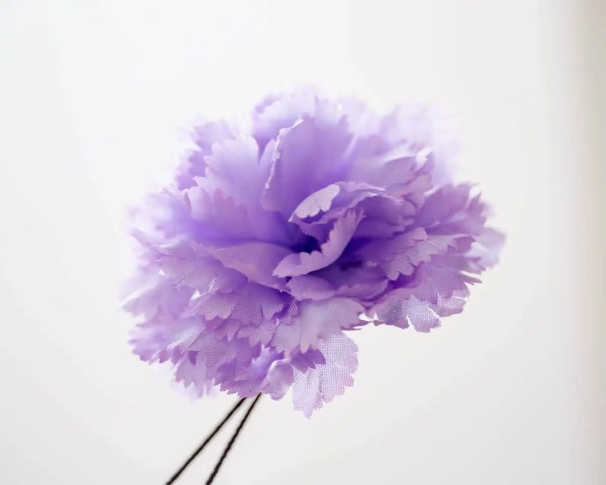 Boutonnière carnation violet b medium (Caryophyllaceae) - view 2