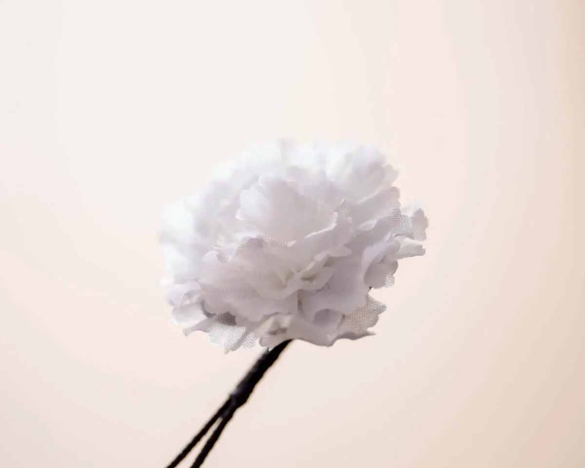 Boutonnière carnation white a small (Caryophyllaceae) - view 2