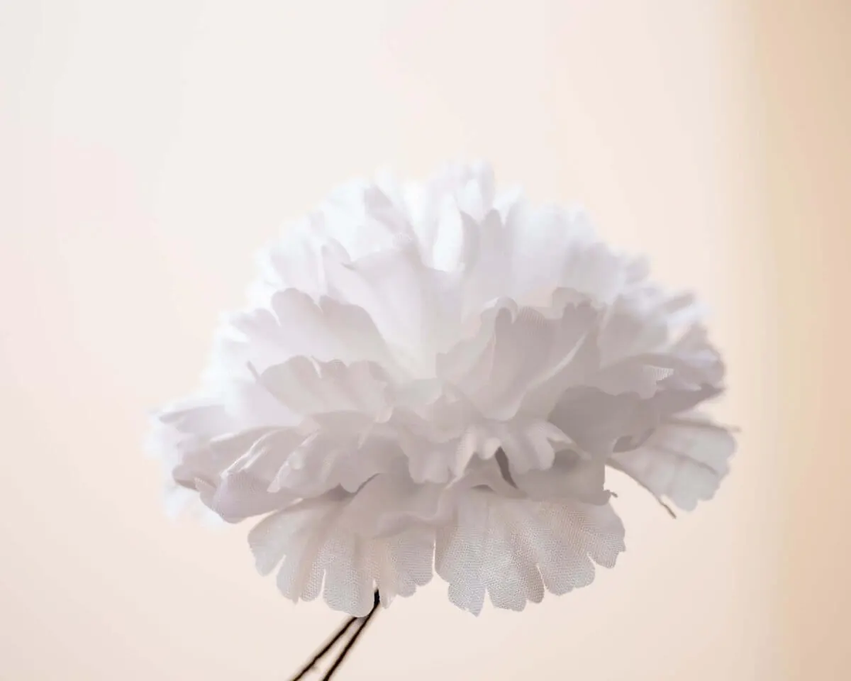 Boutonnière carnation white c large (Caryophyllaceae) - view 2