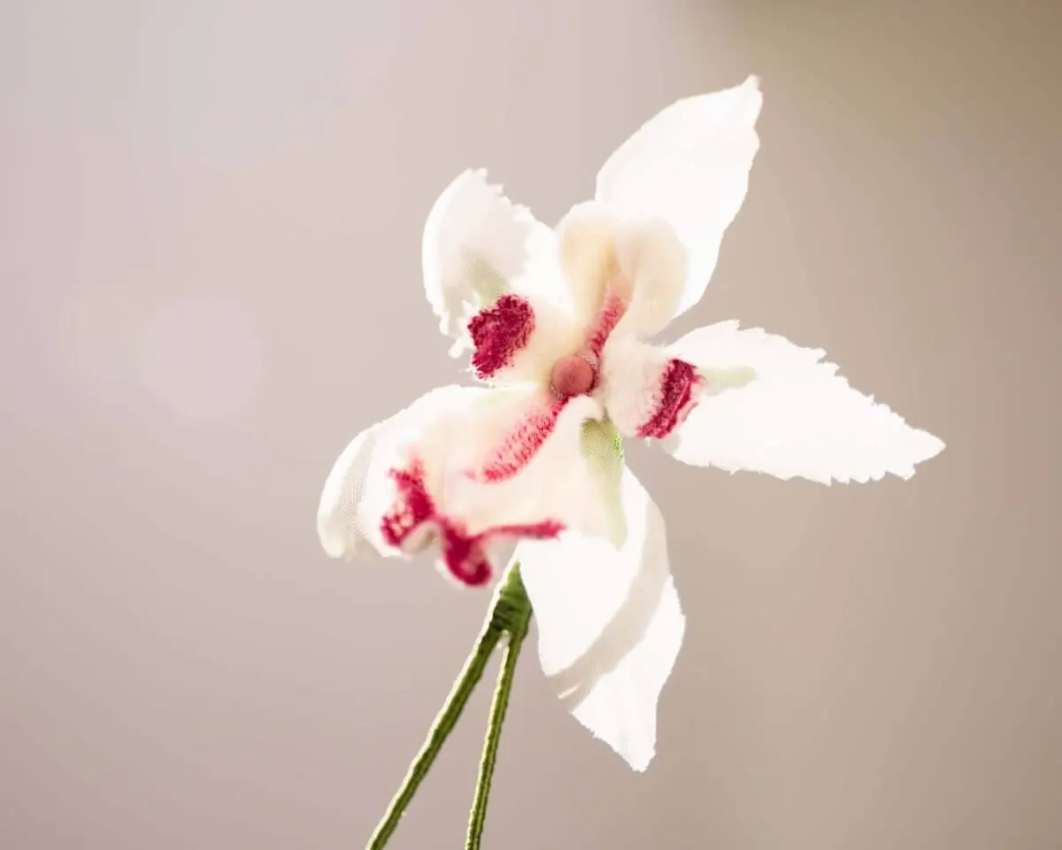 Boutonnière Orchidee (Odontoglossum) - view 2