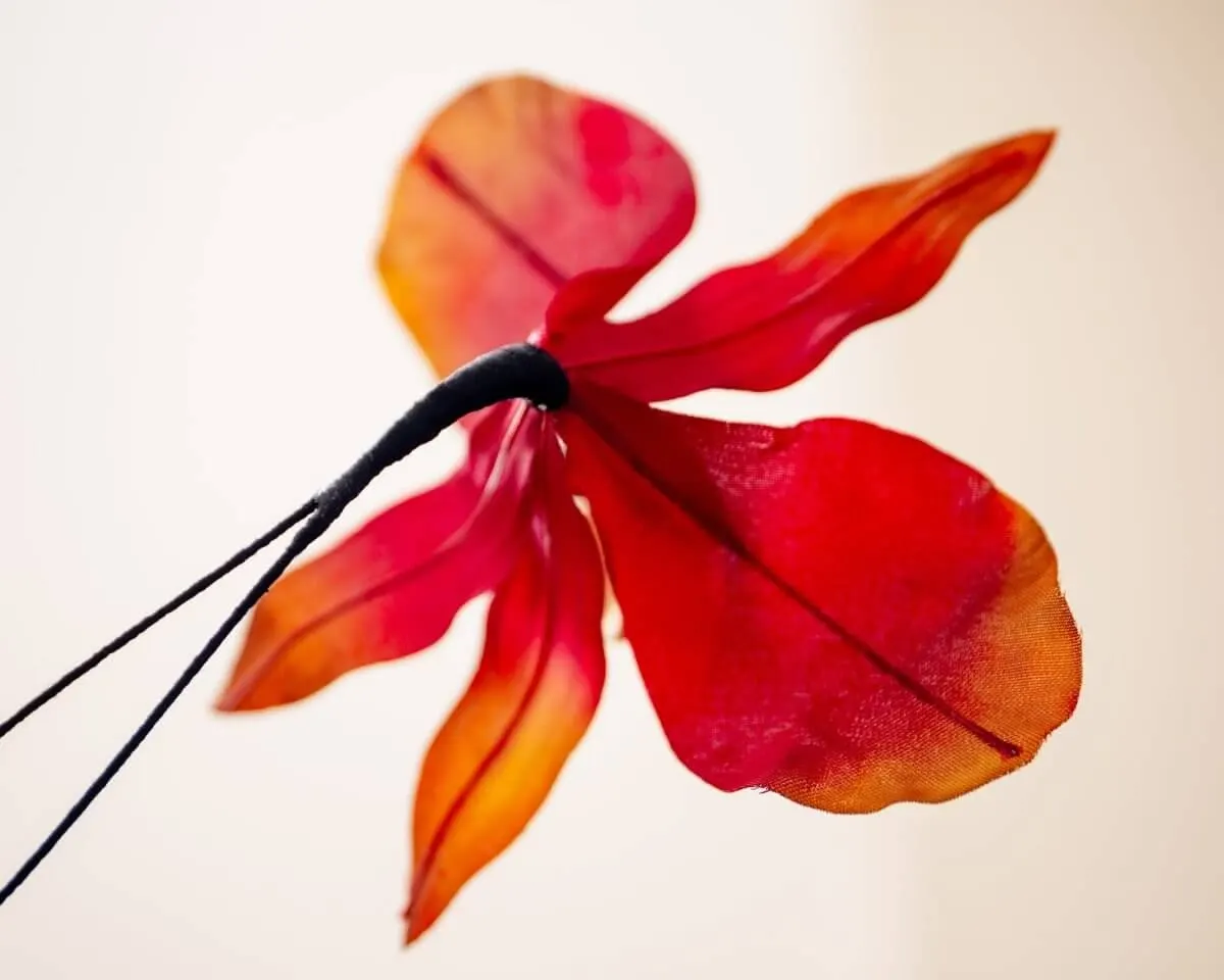 Boutonnière Orchidee (Odontoglossum) - view 3