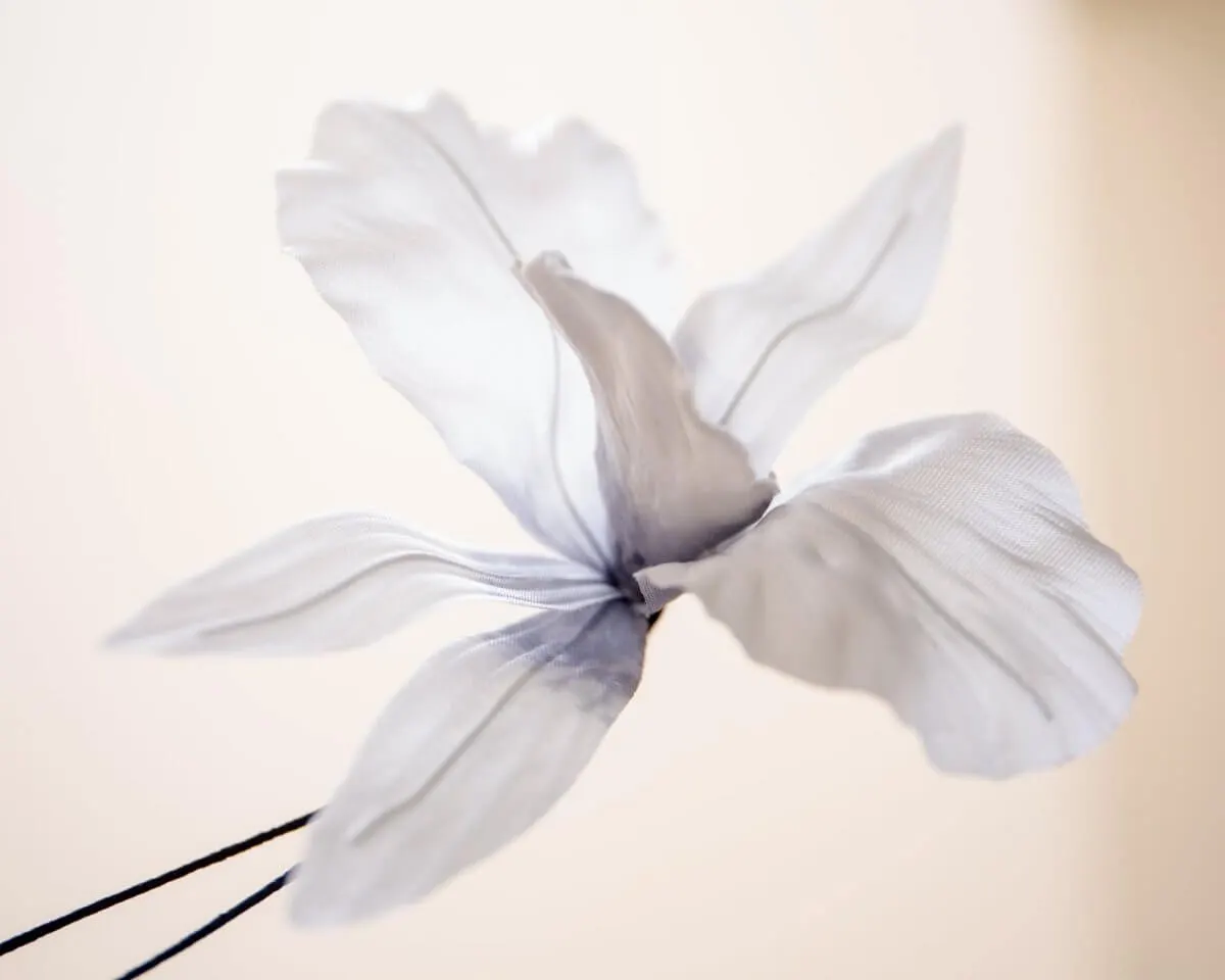 Boutonnière Orchidee (Odontoglossum) - view 2