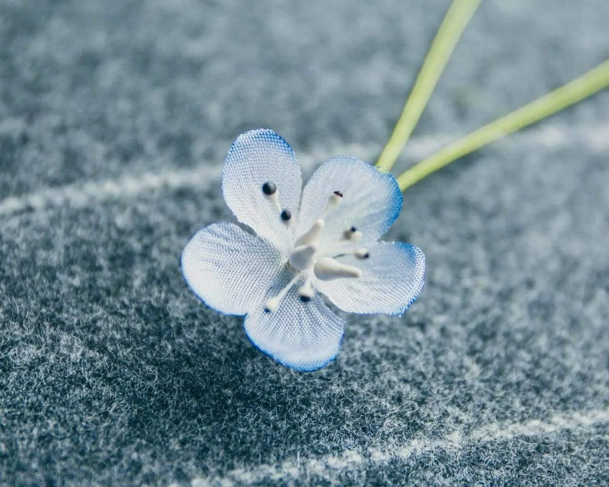 Boutonnière persian speedwell mini (Veronica persica) - view 5