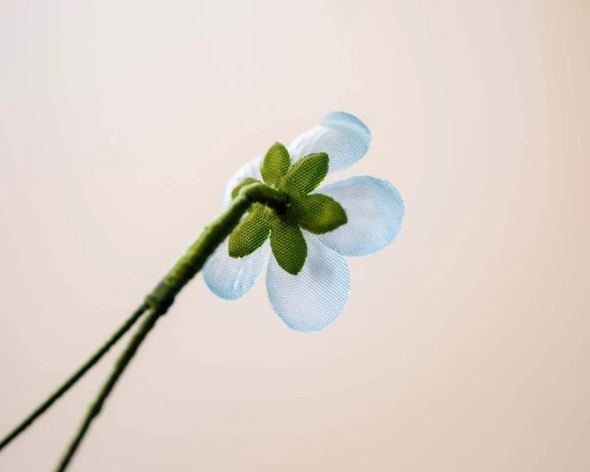 Boutonnière persian speedwell mini (Veronica persica) - view 3