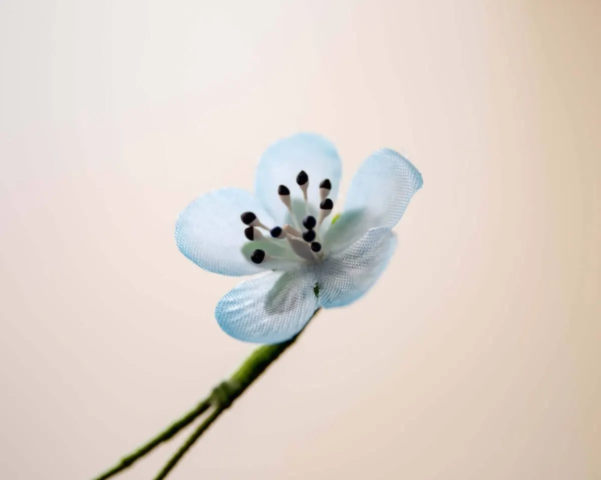 Boutonnière persian speedwell mini (Veronica persica) - view 2