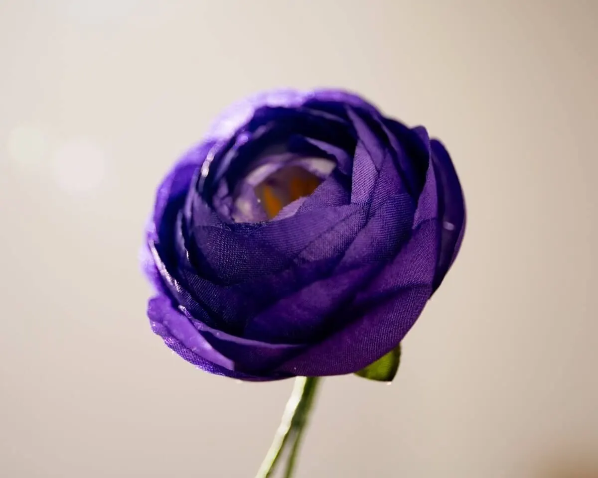 Boutonnière ranunculus violet (Ranunculus) - view 2
