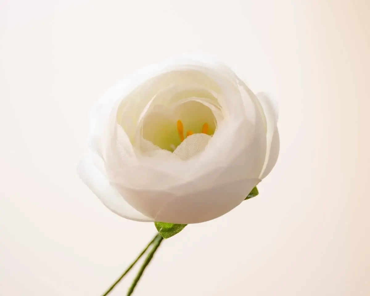 Boutonnière ranunculus lind (Ranunculus) - view 2