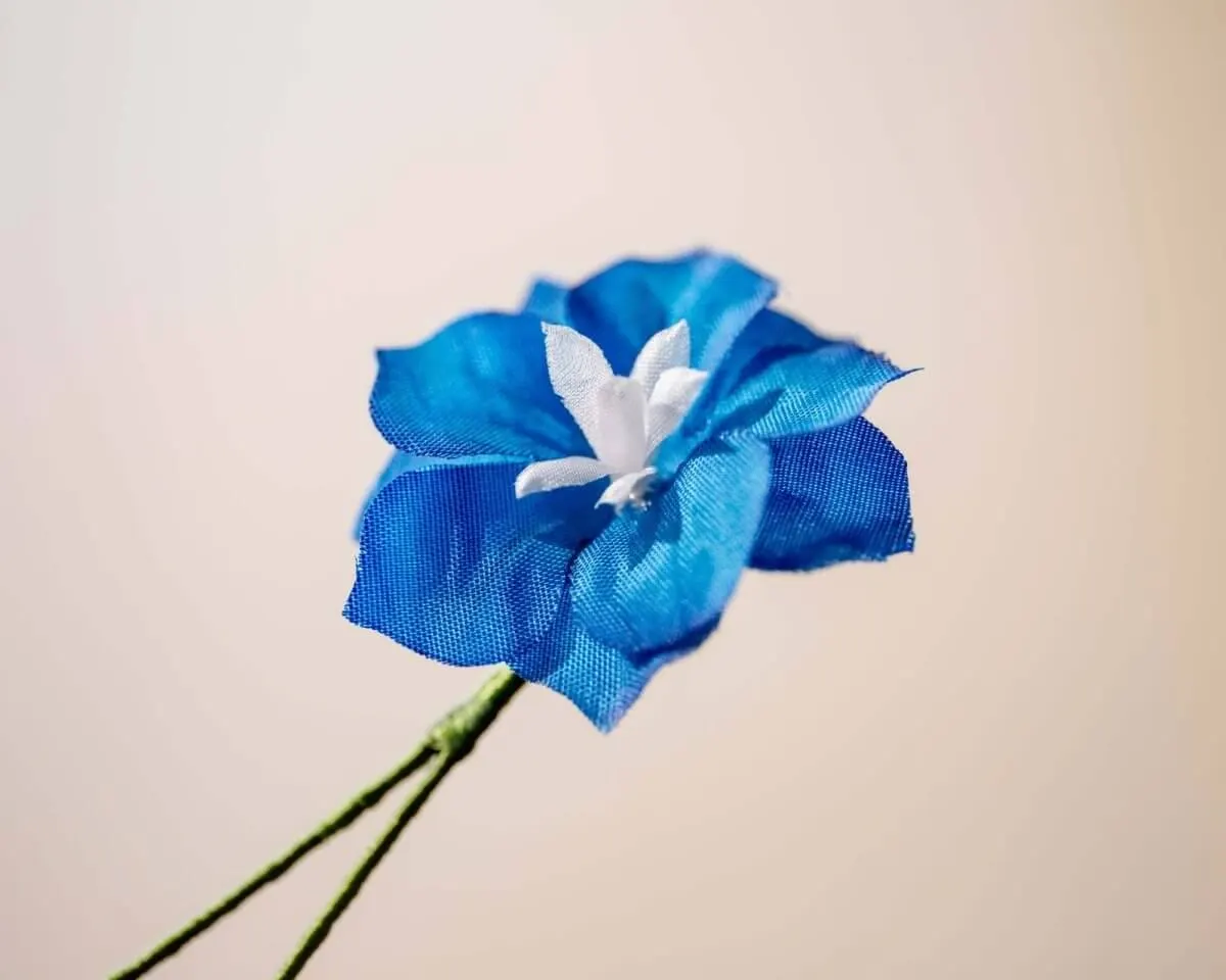 Boutonnière delphinium 'blue dwarf' (Delphinium grandiflorum) - view 2