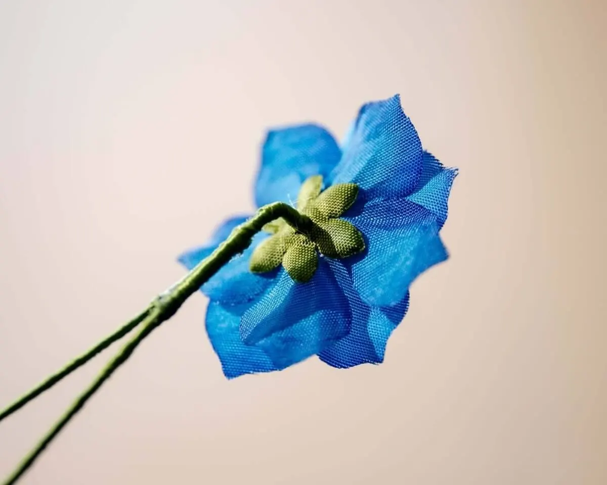 Boutonnière delphinium 'blue dwarf' (Delphinium grandiflorum) - view 3