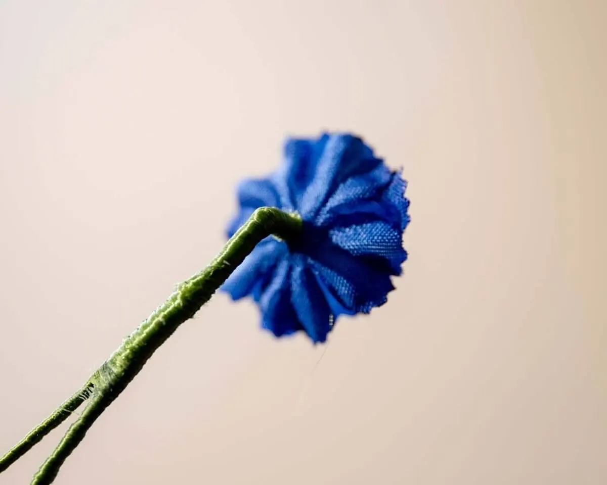 Boutonnière delphinium dark blue mini (Delphinium) - view 3