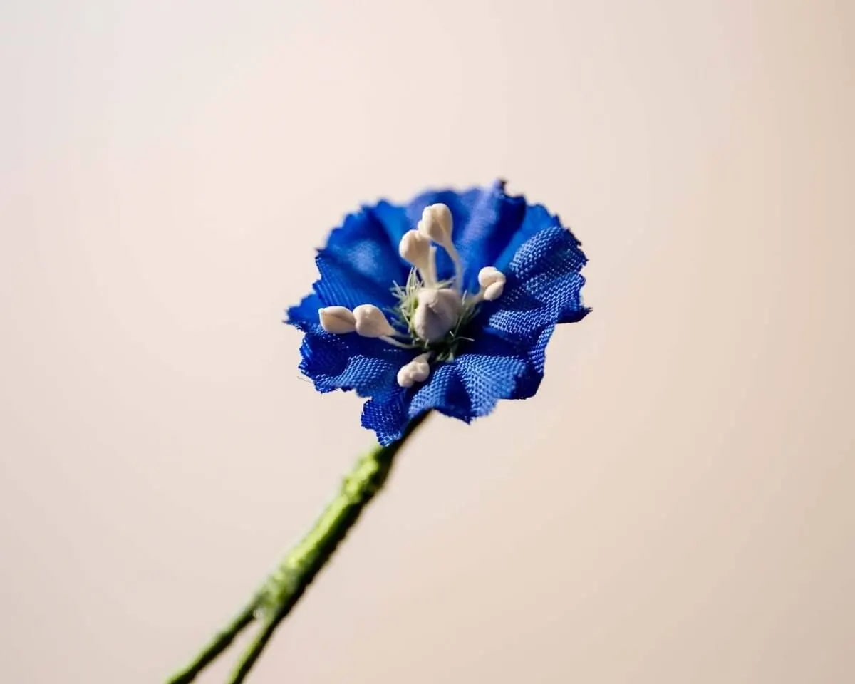 Boutonnière delphinium dark blue mini (Delphinium) - view 2