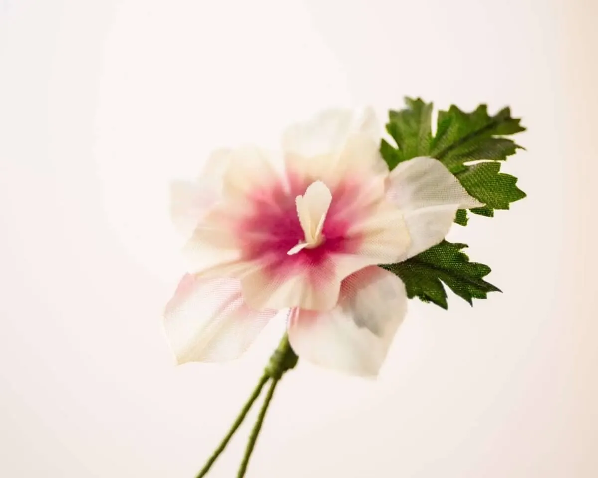 Boutonnière delphinium vanilla (delphinium) - view 2