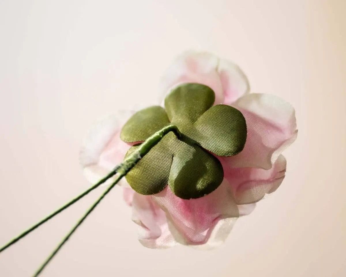 Boutonnière rose powdery pink (Rosa odorata) - view 3