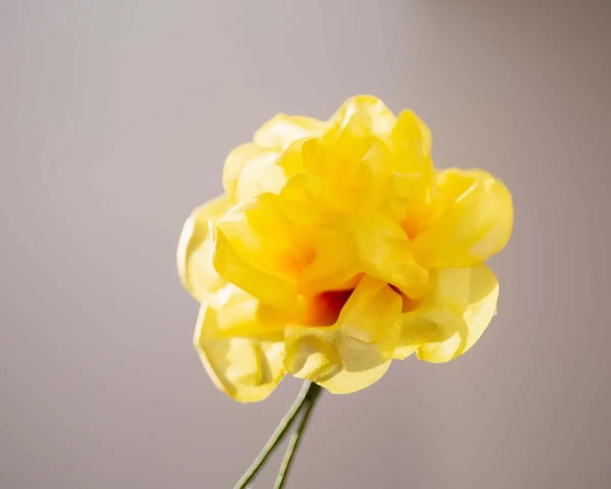 Boutonnière rose yellow (Rosa odorata) - view 2