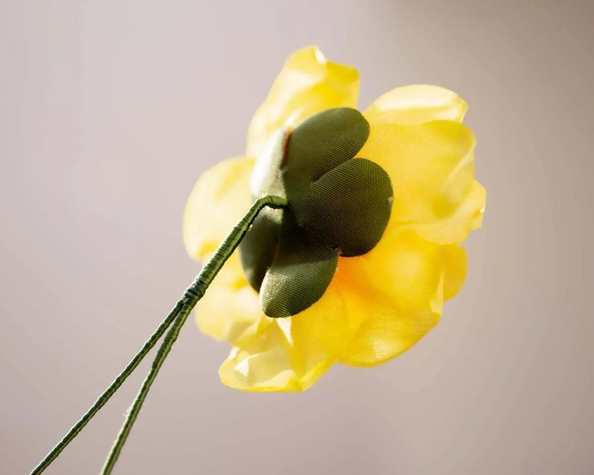 Boutonnière rose yellow (Rosa odorata) - view 3