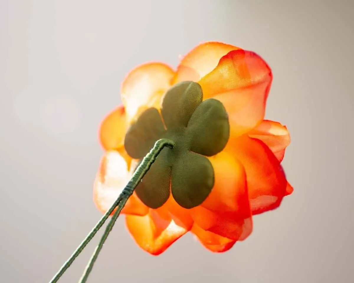 Boutonnière rose orange (Rosa odorata) - view 3