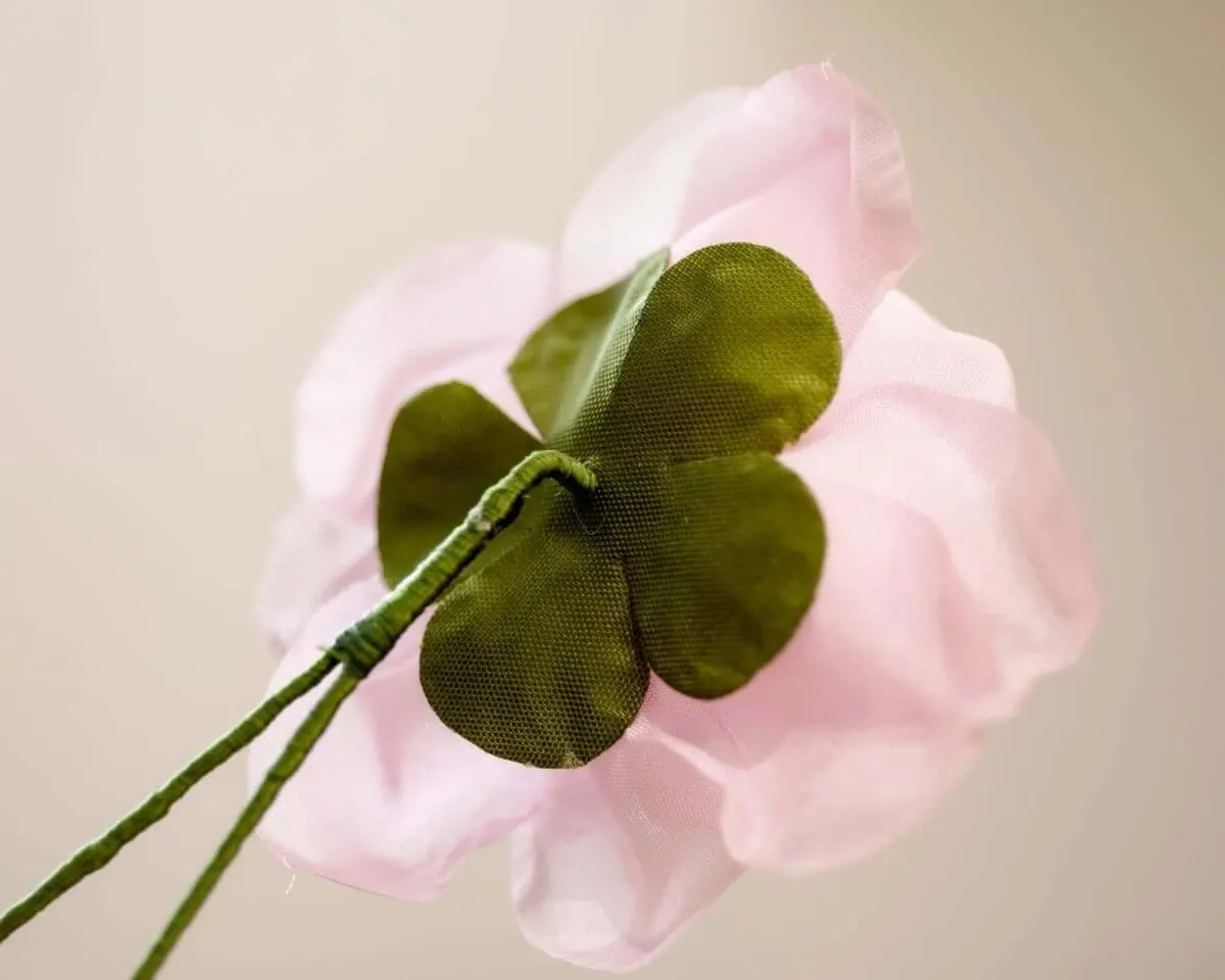 Boutonnière rose light pink (Rosa odorata) - view 3