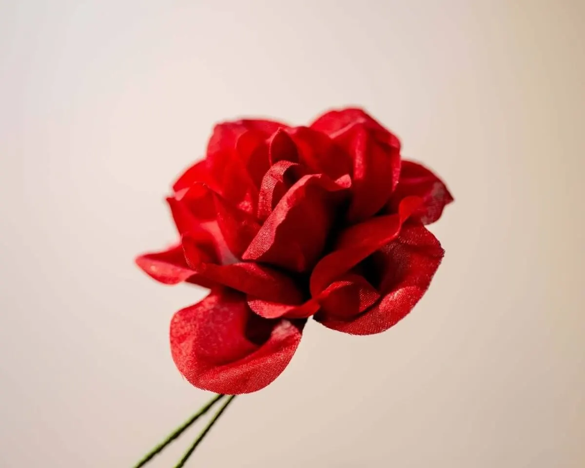 Boutonnière rose red (Rosa odorata) - view 2