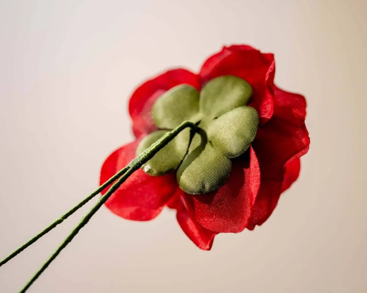 Boutonnière rose red (Rosa odorata) - view 3