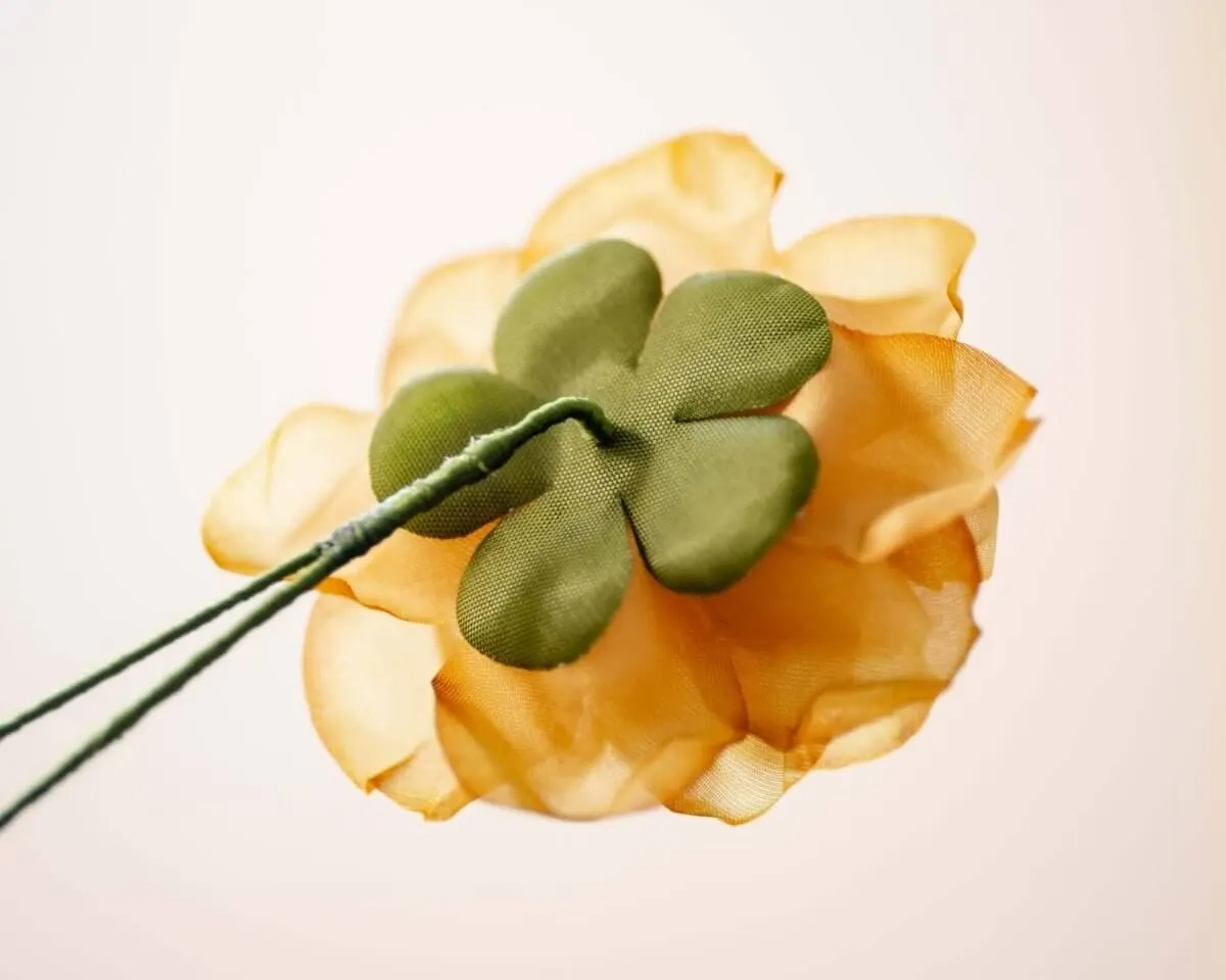 Boutonnière rose sepia (Rosa odorata) - view 3