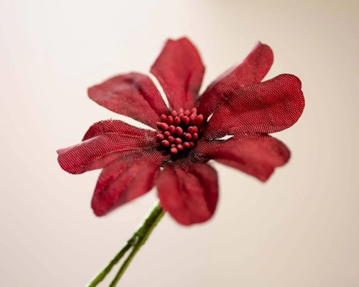 Boutonnière chocolate flower (Cosmos atrosanguineus) - view 2