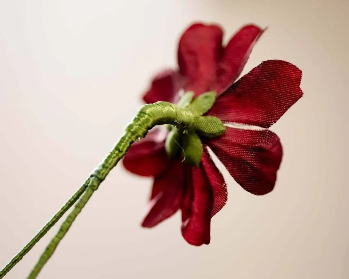 Boutonnière chocolate flower (Cosmos atrosanguineus) - view 3