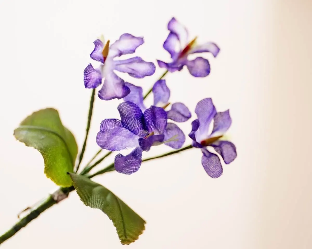 Bouquet violet purple (Bouquet) - view 2