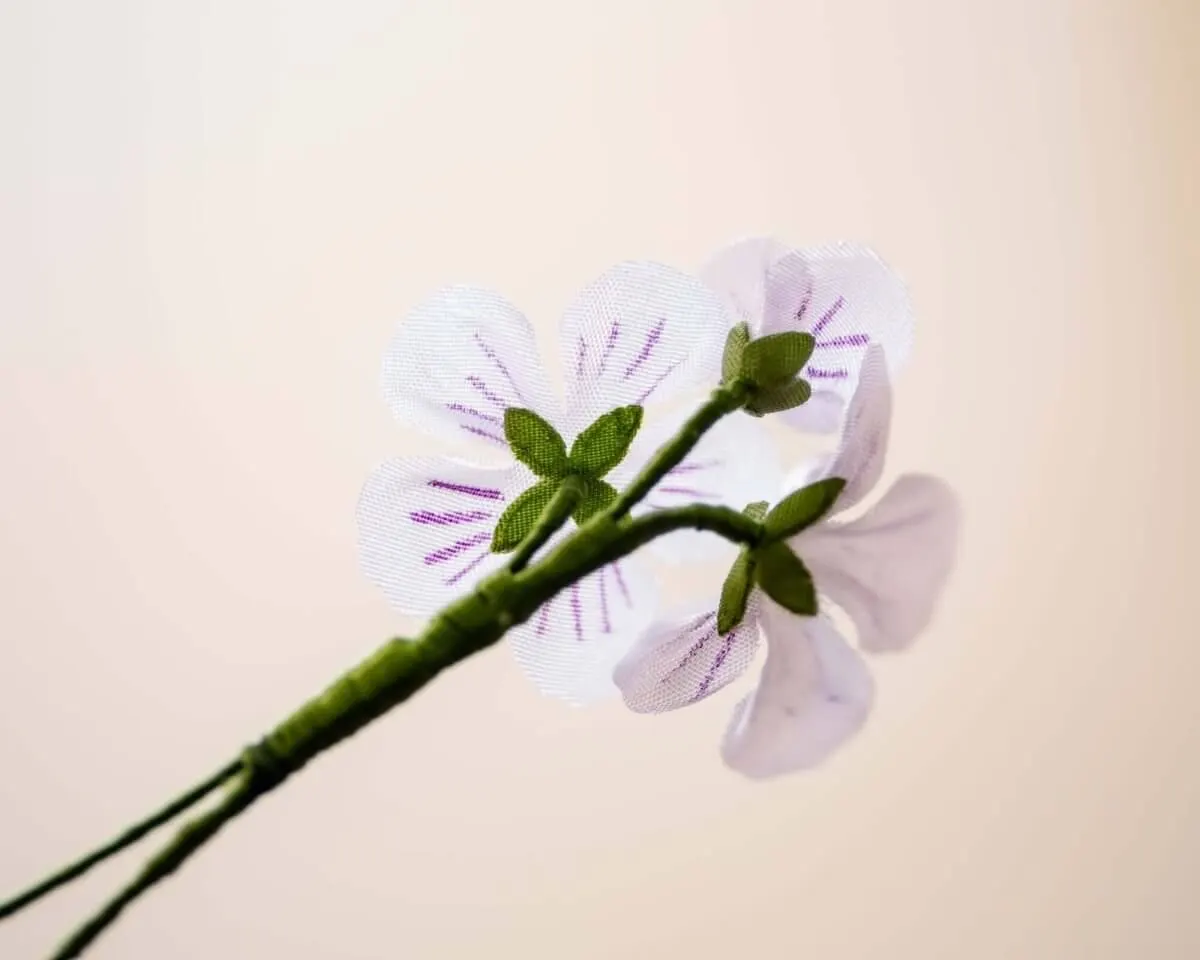 Boutonnière wood sorrel triple (Oxalis acetosella) - view 3