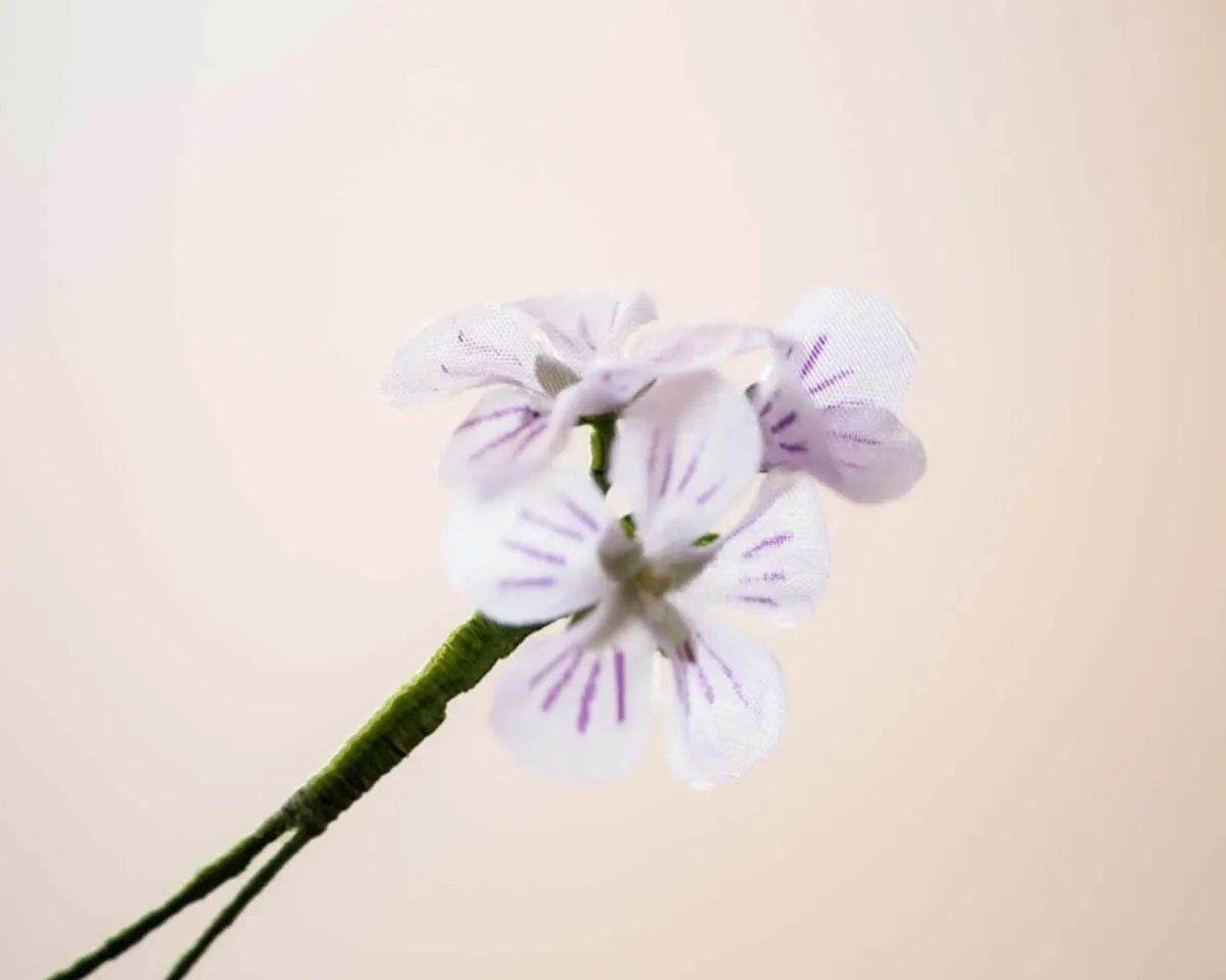 Boutonnière wood sorrel triple (Oxalis acetosella) - view 2