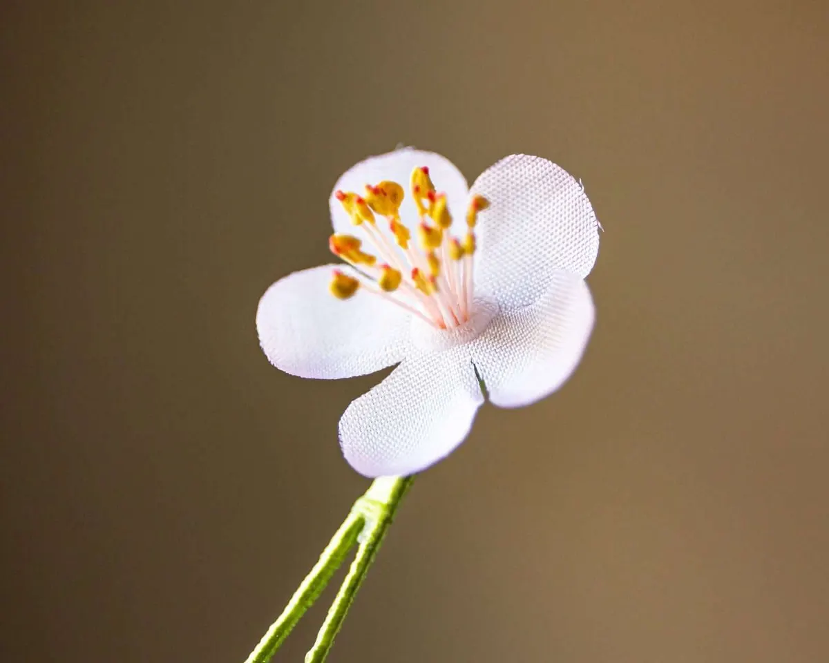 Boutonnière cherry blossom pink mini (Japanese sakura) - view 4