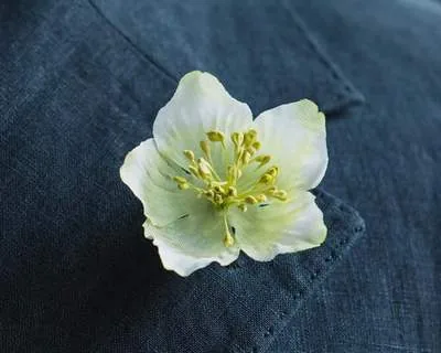 Boutonnière Christrose Weiß (Helleborus niger)
