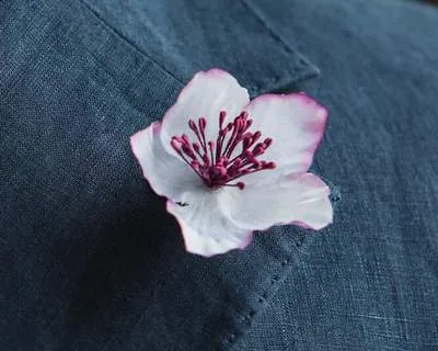 Boutonnière Christrose Violett-Weiß (Helleborus niger)