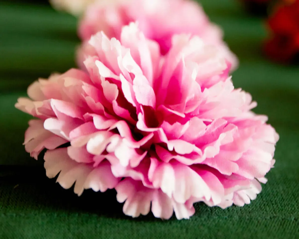 Boutonnière carnation magenta c large (Caryophyllaceae) - view 4