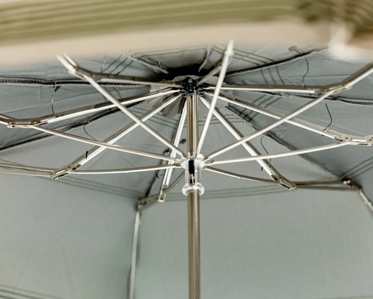 Umbrella Alfredo - view 5