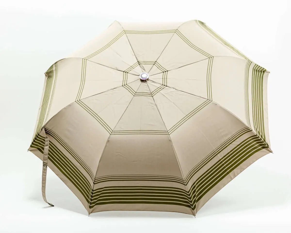 Umbrella Alfredo - view 2