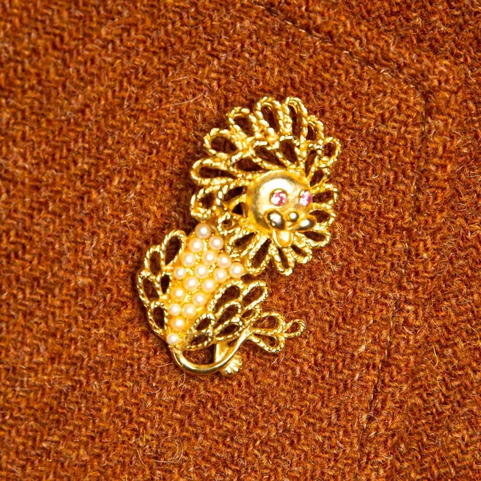 Brooch lion b - representative image, shown here: brooch lion